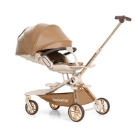 Luxury Stroller With Car Seat
