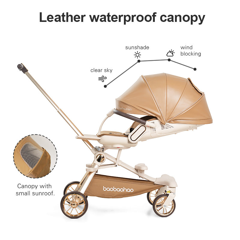 Luxury Stroller With Car Seat